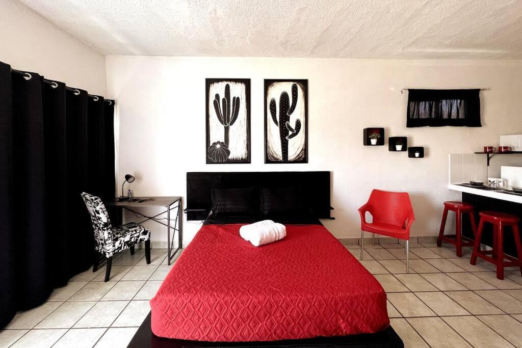 The Black & White The Coziest Place In Cabo Apartamento