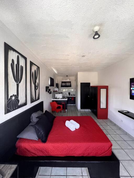 The Black & White The Coziest Place In Cabo Apartamento *